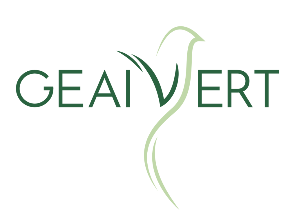 geai vert