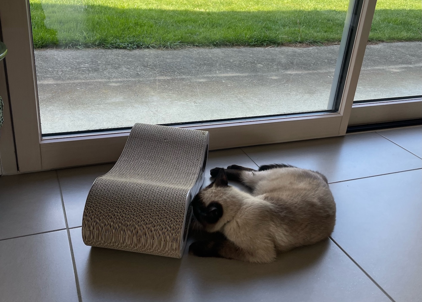 chat